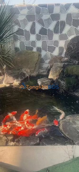 Đất Nền Lộc Ninh 1008m² Giá 900 Triệu - Sổ Đỏ Rõ Ràng