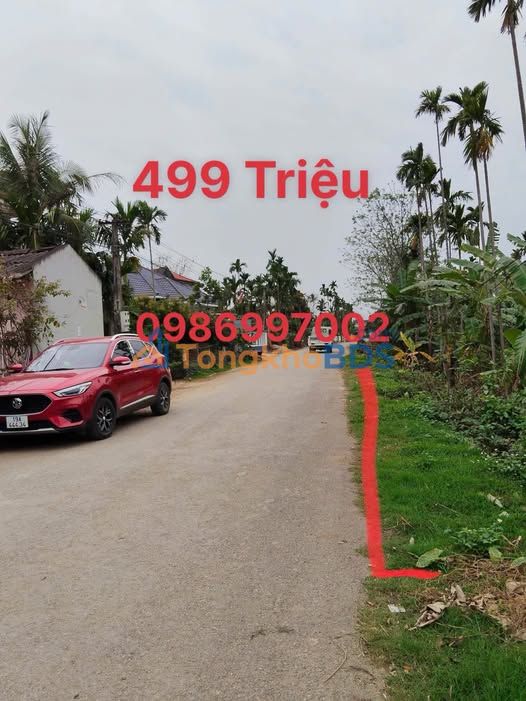 Mặt Tiền Kinh Doanh 93.3m² Đường 315, Tam Nông, Phú Thọ - Chỉ 499 Triệu