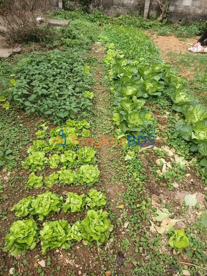 Bán Đất Vườn Nghỉ Dưỡng 1000m² View Hồ Trị An - Đồng Nai