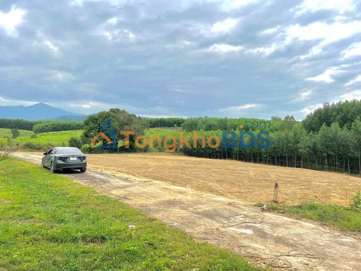 Đất Vườn Diên Khánh 639m² - Giá 299 Triệu, Sát Dân, View Farm Xanh Mát