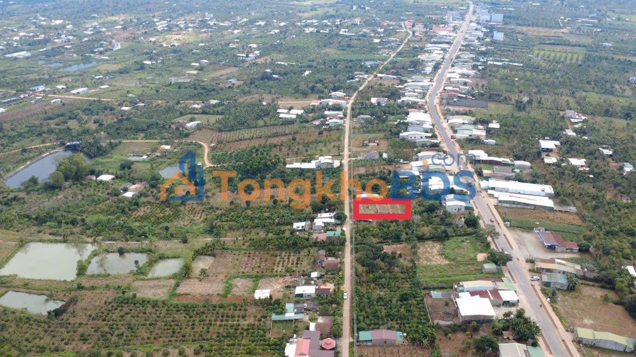 Đất Nền Xuân Phước Đồng Xuân 2280m² - Mặt Đường Bê Tông, Kinh Doanh Tốt