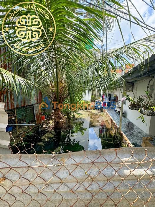 Đất nền Phường 9, Cà Mau 62m² giá 550 triệu - Vị trí đắc địa