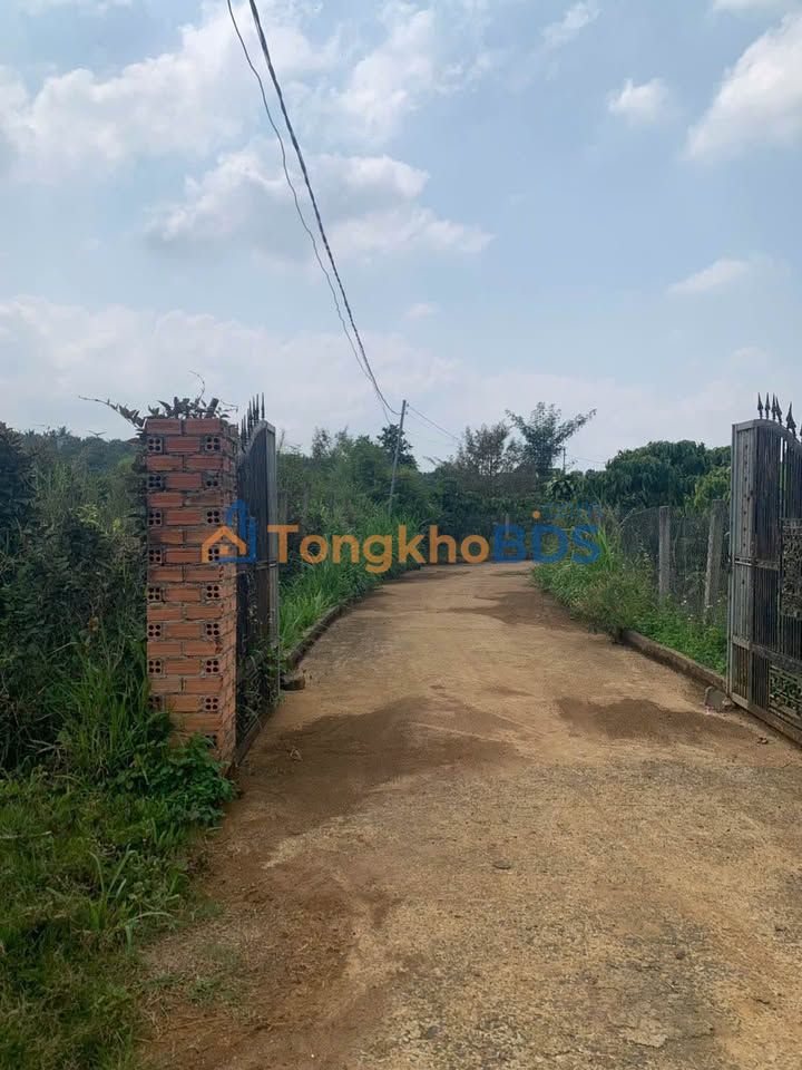 Bán Gấp Farm 4800m² Lộc An, Bảo Lâm - Sẵn Ao Cá, Giá Đầu Tư 2.48 Tỷ