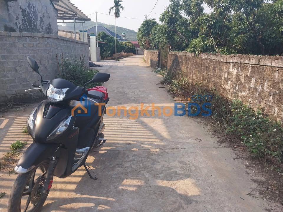 Bán Gấp Lô Vườn 3600m² Lục Ngạn, Bắc Giang - Giá Hơn 2 Tỷ