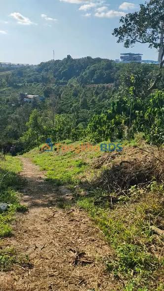 Bán Gấp Đất Vườn Đắk Nông 1ha - Sổ Hồng Riêng - Giá 2.1 Tỷ