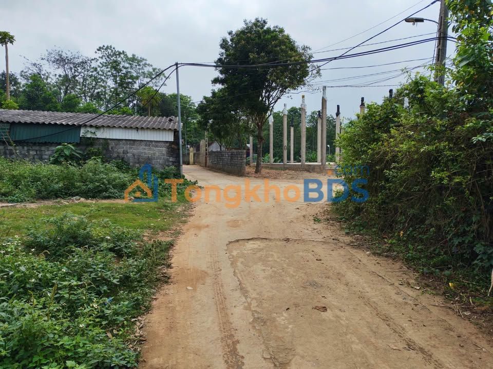 Đất Nền 133m² Trung Tâm Xuân Bình, Như Xuân, Thanh Hóa - Giá Tốt