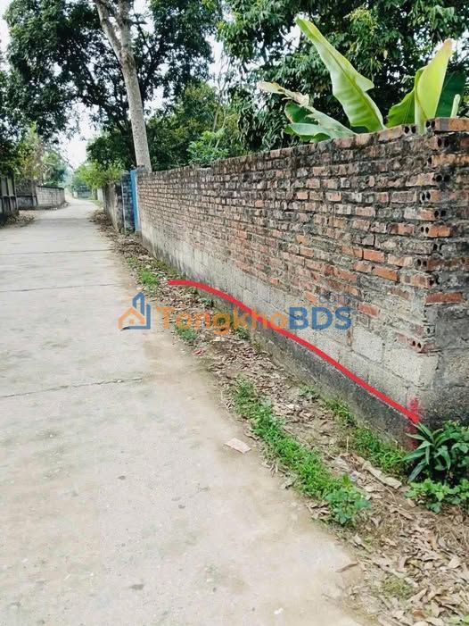 Đất nền Đồng Hỷ, Thái Nguyên 236m² - Vị trí đắc địa, tiềm năng sinh lời cao