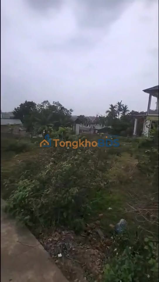 Đất nền Mai Thưởng, Lục Nam, Bắc Giang - 118m² cạnh KCN 400ha