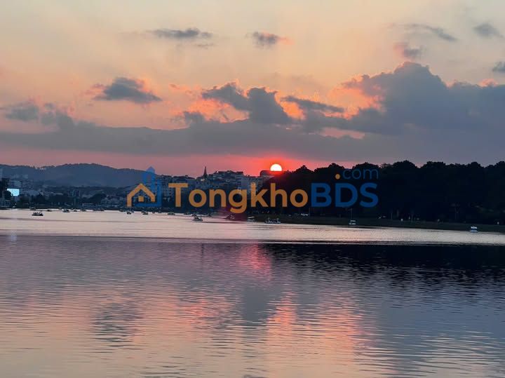 Cho thuê Đất 720m² Đà Lạt - View rừng thông, lý tưởng kinh doanh Homestay/Cafe