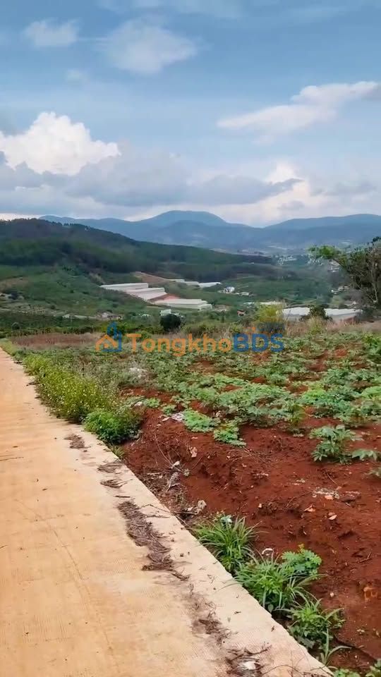 Đất Vườn Lâm Hà - Lâm Đồng 14.720m² Sổ Riêng, Mặt Tiền 274m - Giá Đầu Tư