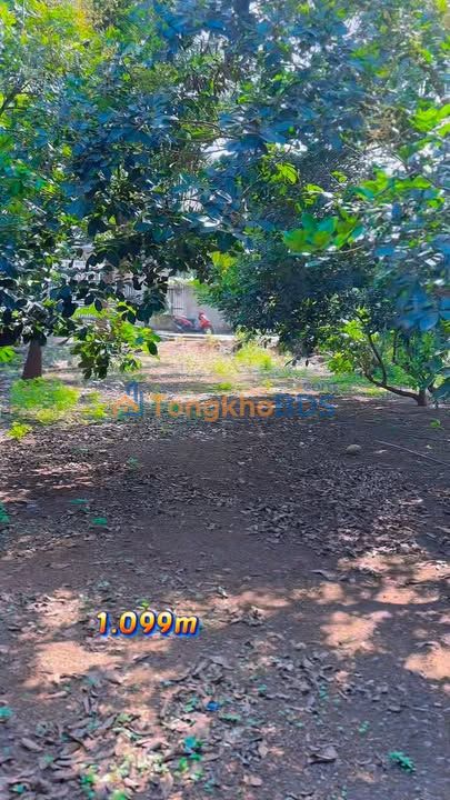 Đất Vườn 1100m² Xuân Hòa, Đồng Nai - Vườn Trái Cây Trĩu Quả, View Suối Riêng