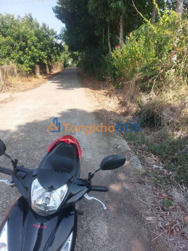 Bán Đất Vàng Phường Tây Hòa, Biên Hòa - 1600m² Hướng Tây, Giá Tốt