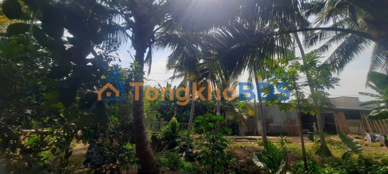 Bán Đất Vườn Nghỉ Dưỡng 1100m² Xã Bảo Hòa, Xuân Lộc - Sổ Thổ Cư