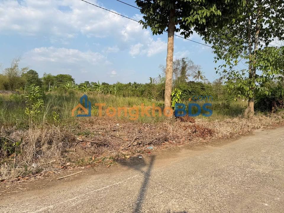 Đất Nền Trảng Bom 1000m² Hướng Đông - Mặt Tiền Nhựa 1.35 Tỷ