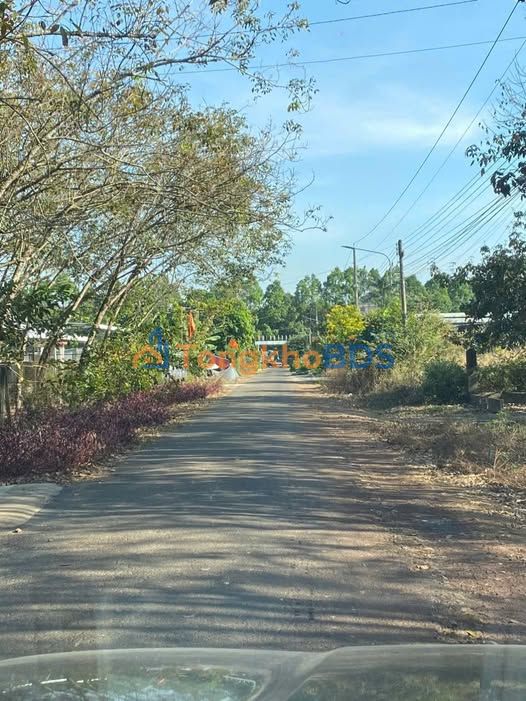 Bán Gấp 5000m² Đất Vườn Mặt Tiền Đường Nhựa Đức Hòa - Giá Tốt