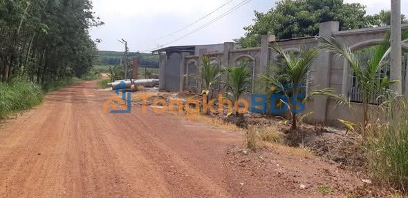 Đất Mặt Tiền Tạo Lực, Phú Giáo - 1250m² Sổ Hồng, Giá 3.2 Tỷ