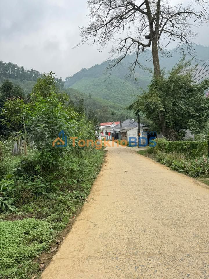 Đất nền Yên Lập, Việt Trì 213m² - Giá đầu tư chỉ hơn 200 triệu