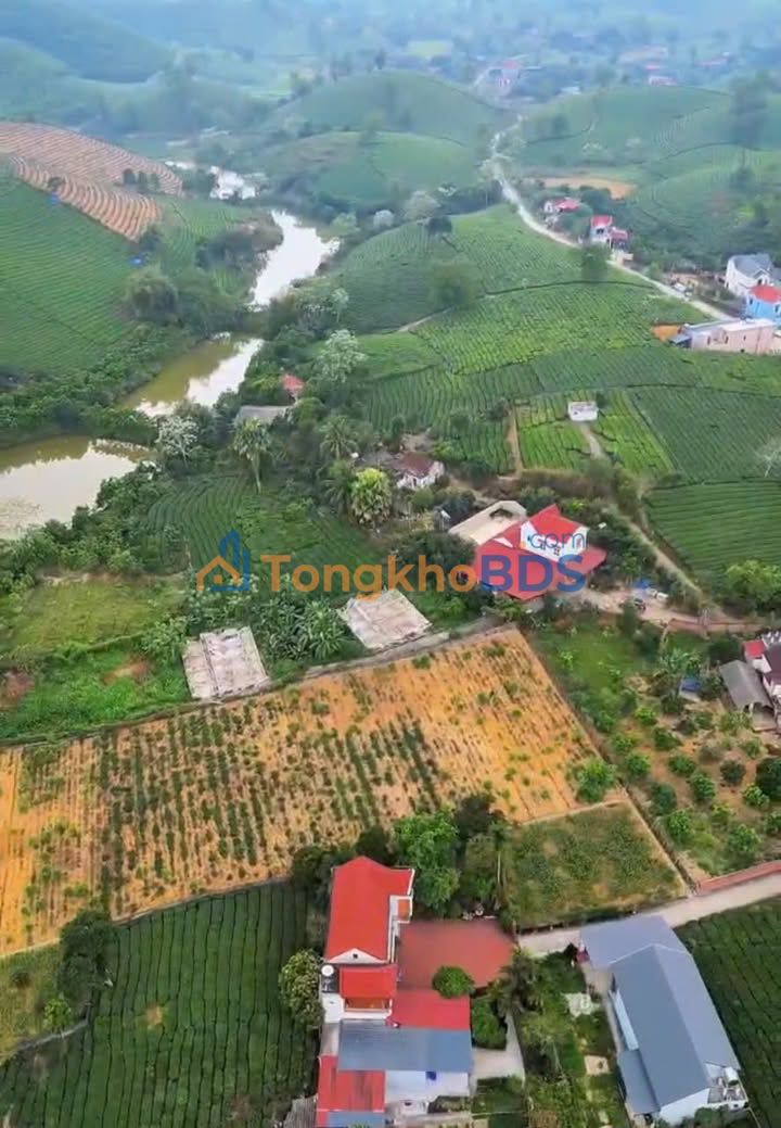 Bán Đất Vườn Nghỉ Dưỡng 2500m² Sổ Hồng Tại Phú Thọ - Giá Tốt