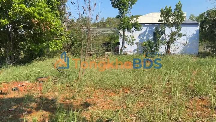 Bán Gấp 1.4ha Đất Vườn Đak Nông - Sổ Đỏ Sẵn Sàng