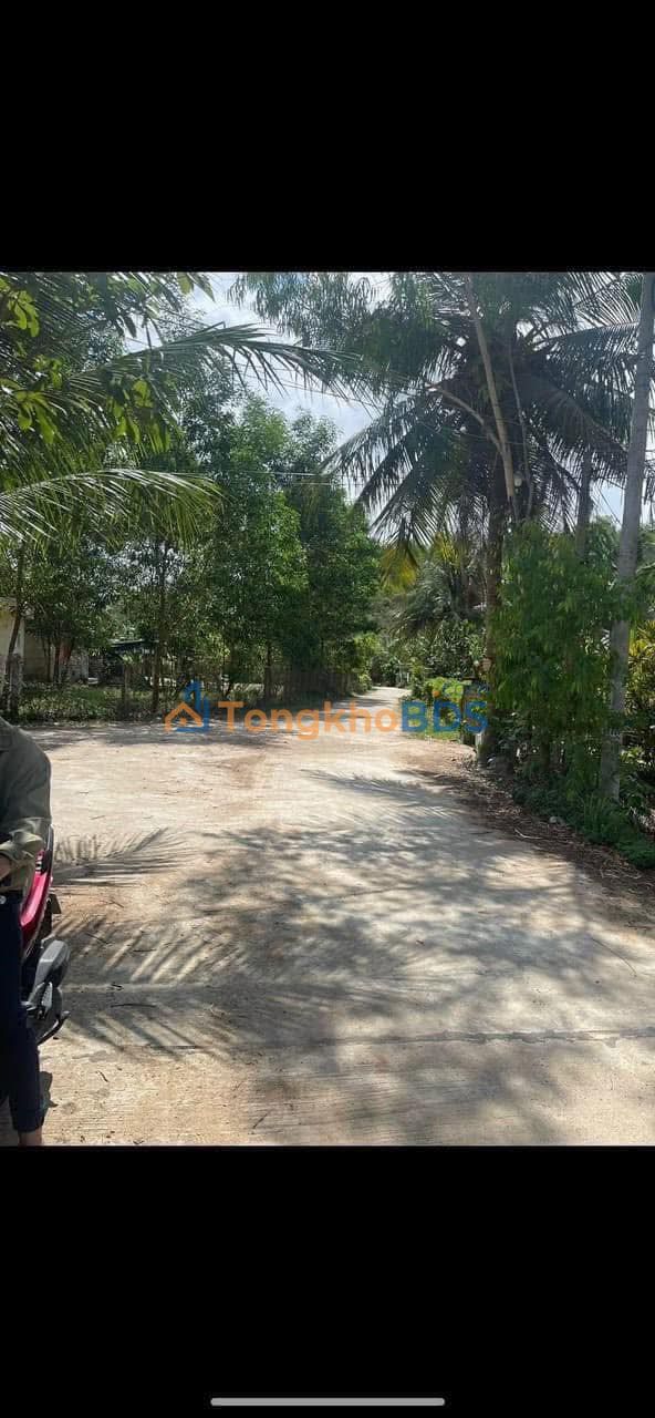 Bán đất full thổ cư Tuy An 200m² - Sổ hồng sẵn, giá đầu tư