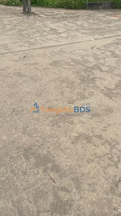 Đất Đấu Giá Quỳnh Lưu 319m² - Thổ Cư Sẵn Sàng Đầu Tư