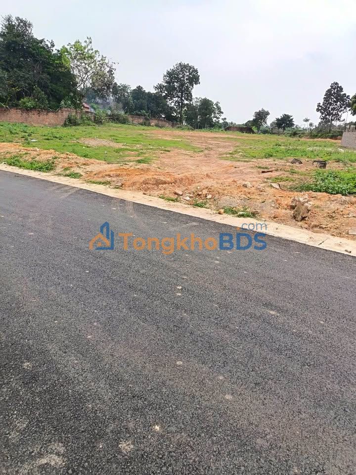 Đất Sóc Sơn 2138m² - Mặt tiền 30.45m, Bám nhựa Liên Thôn, Giá 143 Tỷ