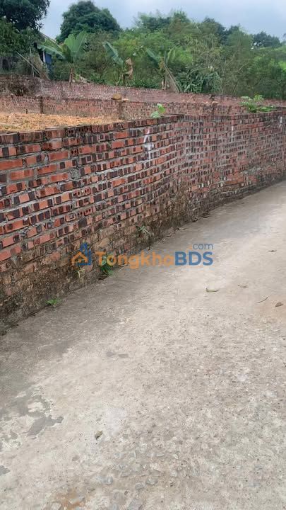 Đất nền Phúc Thọ 100m² - Sổ đỏ sẵn, giá nhỉnh 700 triệu