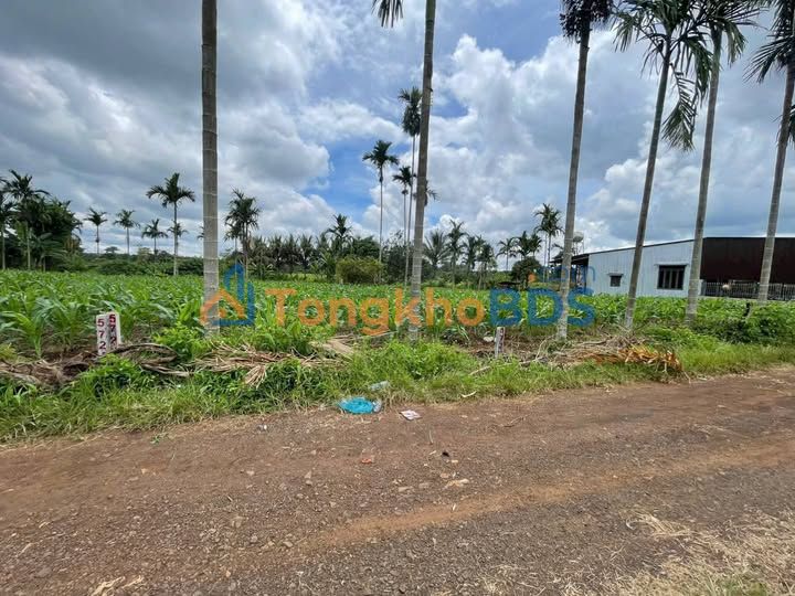 Đất Nền Ea Bhốk, Cư Kuin: 280m² Giá Chỉ 300 Triệu - Đầu Tư Hoặc An Cư Dài Lâu