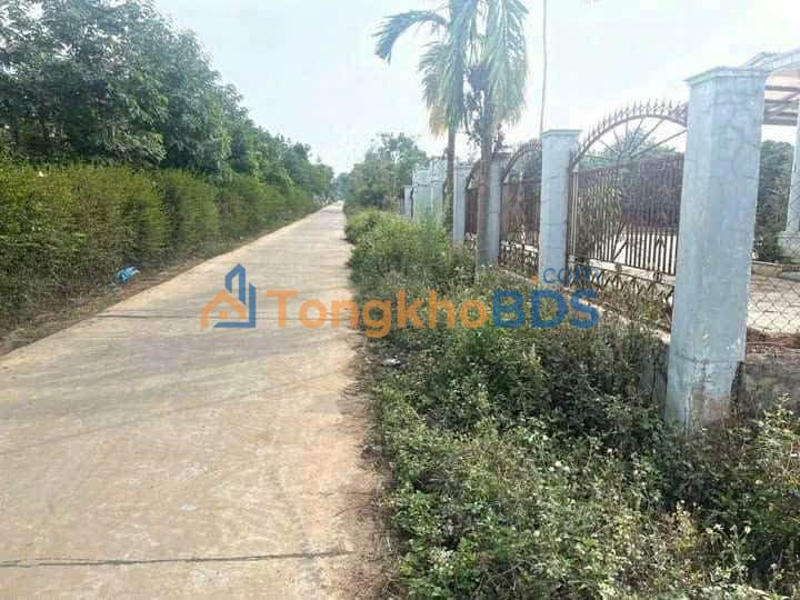 Bán Gấp 2 Lô Liền Kề 200m² Xã Đắk Drô, Krông Nô - Giá Tốt