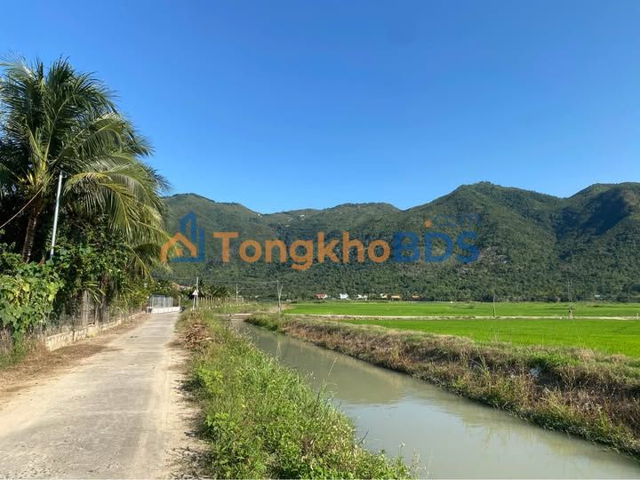 Đất thổ cư Diên Khánh 61.2m² - View đồng lúa, giá chỉ 970 triệu