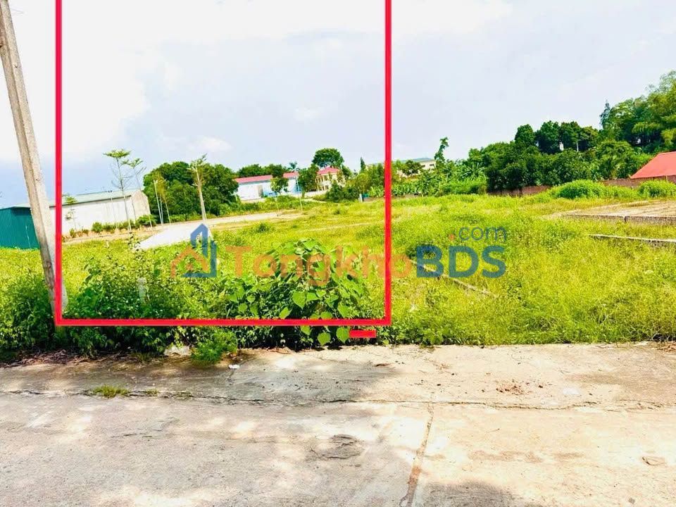 Đất Nền Tam Dương 101m² - Sổ Đỏ Rõ Ràng, Giá 1.1 Tỷ