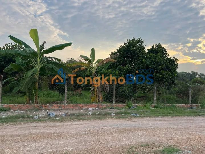 Bán Đất Nền Mặt Tiền Trường Đông, Hòa Thành, Tây Ninh - 621m² Thổ Cư