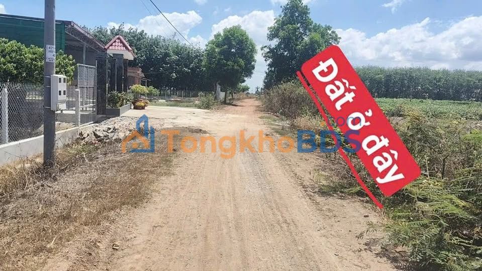 Đất Nền 250m² Huyện Dương Minh Châu, Tây Ninh - Sổ Đỏ Sẵn Sàng