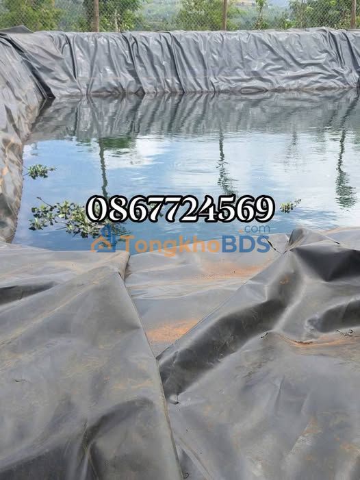 Bán Gấp 1.4ha Vườn Tiêu, Cà Phê Giá 1.6 Tỷ - Đắk Nông