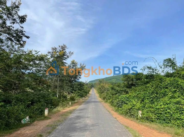 Đất Nền Đăk Lăk 2.8 Sào Mặt Tiền Đường Nhựa - Giá F0 Chỉ 415 Triệu