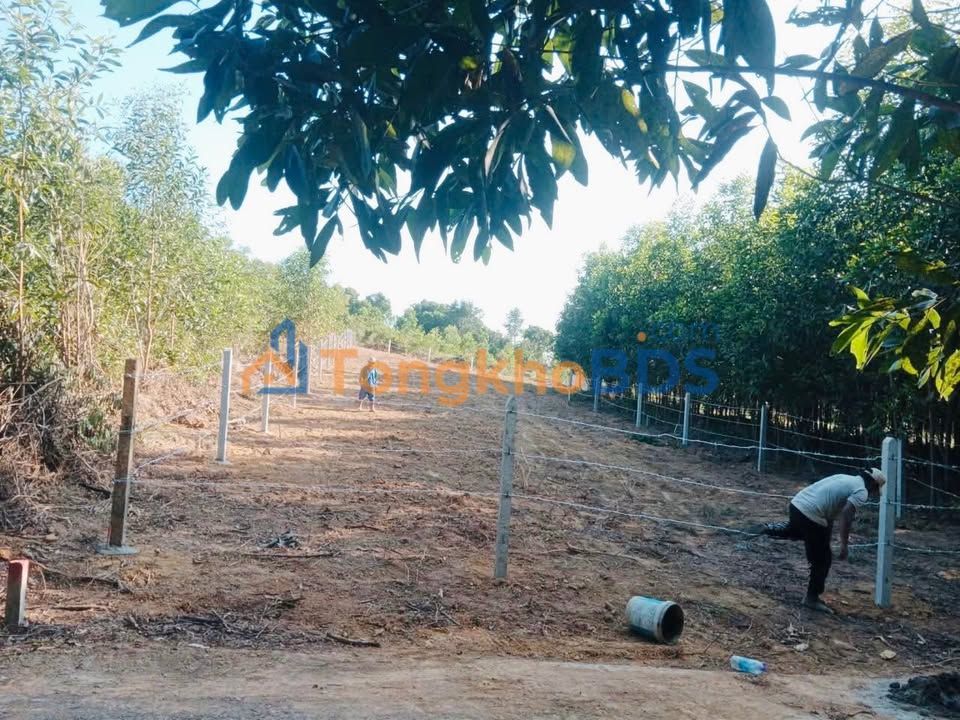 Bán Đất Nền 1034m² Khánh Đông, Khánh Vĩnh, Khánh Hòa - Giá Tốt 490 Triệu