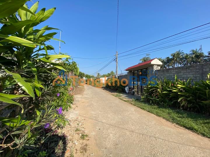 Đất Thổ Cư 255m² Phường An Bình, An Khê - Sổ Riêng Sẵn Sàng