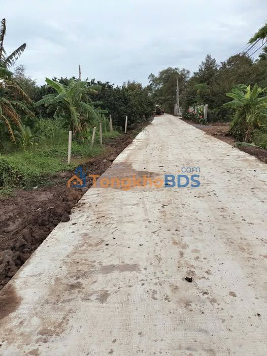 Đất Vườn Tiền Giang 1400m² - Sổ Hồng Sẵn - Giá Đầu Tư 2.3 Tỷ