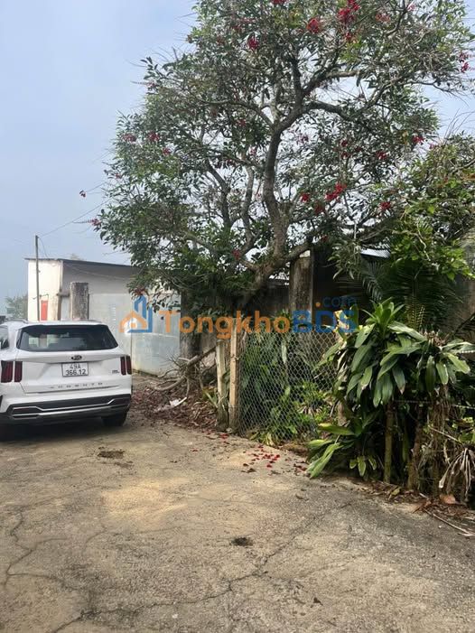 Bán Gấp 2 Lô Đất Vàng Đường Chánh, Bảo Lộc - Giá Từ 1.5 Tỷ