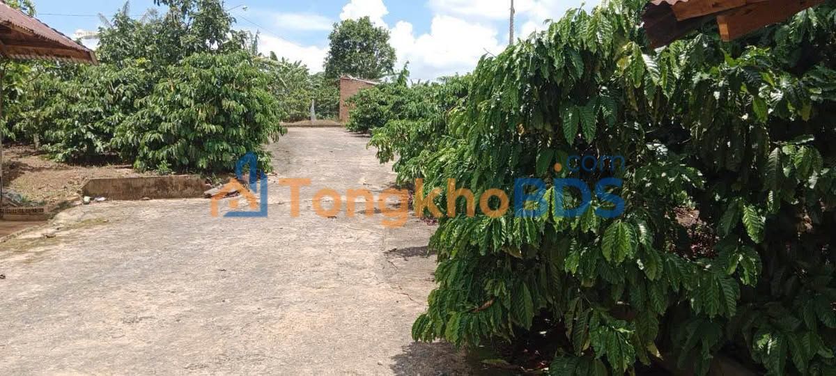 Đất Vườn Nghỉ Dưỡng 400m² Xã Hòa Bắc, Di Linh - Giá Thỏa Thuận