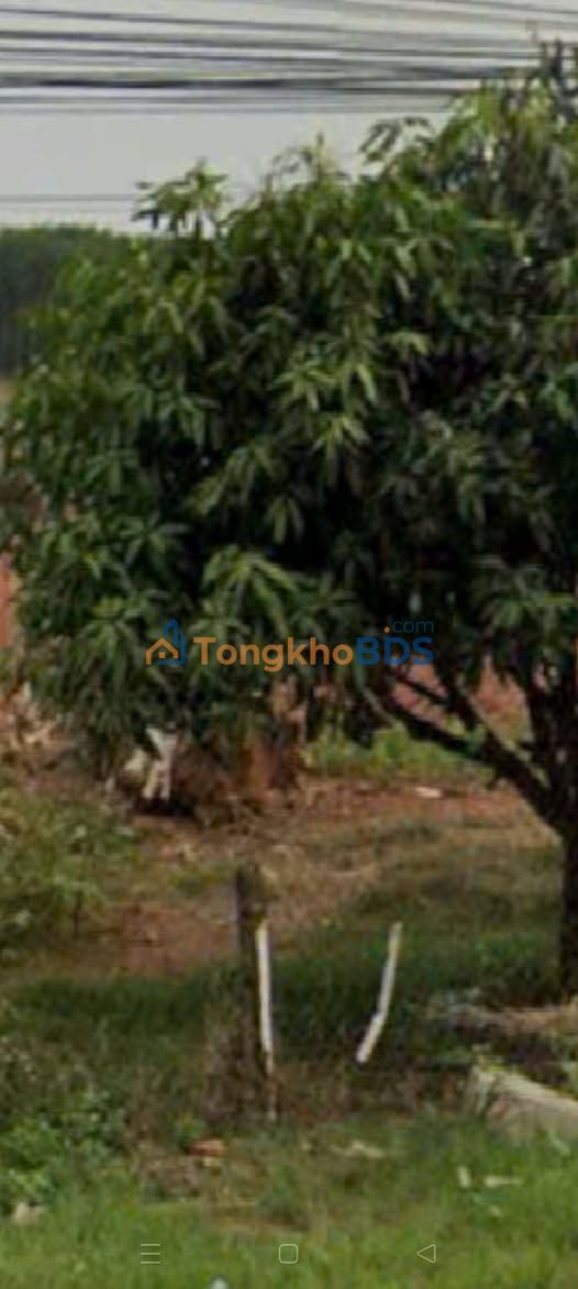 Đất Vườn Bình Phước 20.000m² Mặt Tiền QL14 - Cao Su, Điều