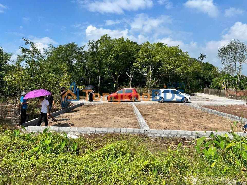 Đất Nền Thường Tín 87.3m² - Gần Vin Olympic, Sổ Đỏ Sẵn Sàng