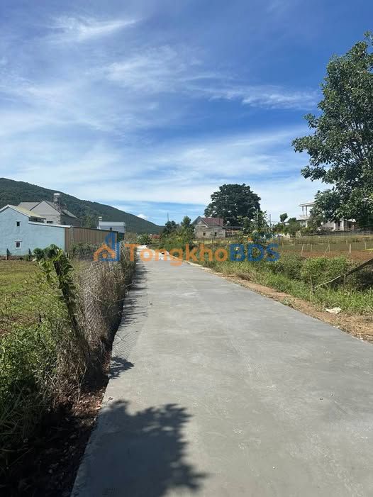 Đất Nền Lạc Dương 250m² - Sổ Thổ Cư Sẵn Sàng - Giá Đầu Tư 2.4 Tỷ