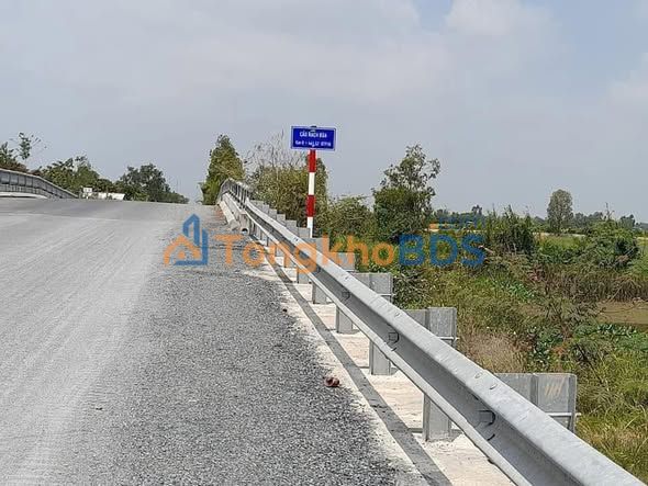 Bán Gấp 2 Nền Đất Lộ 910 Vĩnh Long - 204m²/nền - Giá Tốt