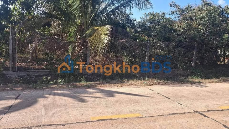 Đất Nền 2 Mặt Tiền Tuy Hòa, Phú Yên - 720m² - Giá Tốt