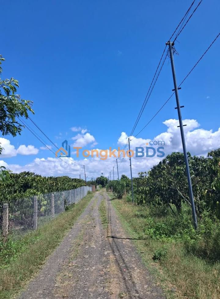 Bán Gấp Đất Tặng Nhà Vườn 1200m² - 1.35 Tỷ Tại Bảo Lộc, Lâm Đồng