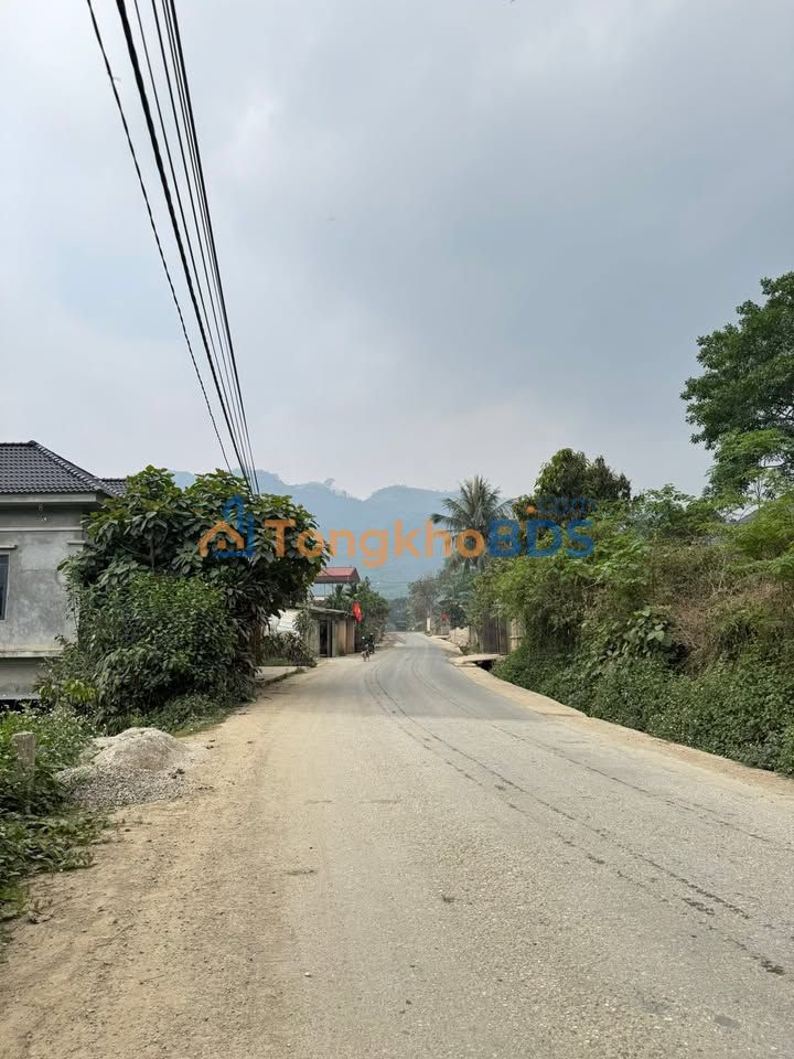 Bán Gấp Đất Vườn 1ha Tại Hương Cần, Thanh Sơn, Phú Thọ - Sổ Hồng Sẵn Sàng