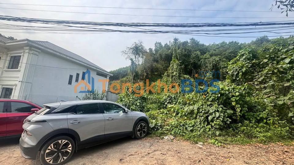 Đất Vườn Yên Bái 1660m² - Giá 3 Tỷ, Sẵn Sàng Xây Biệt Thự