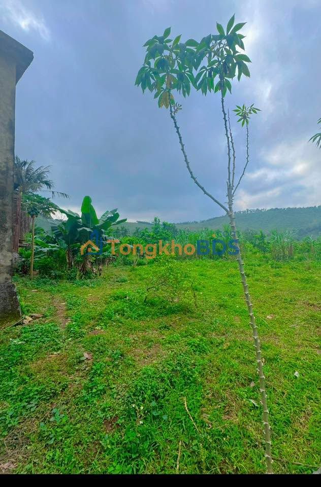 Đất Nền Nghỉ Dưỡng Kim Bôi 3000m² - View Núi Ruộng, Sổ Hồng Sẵn Sàng