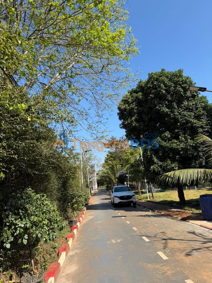 Đất nền Cư Jút - Đắk Nông 150m² - Sổ TC, Giá Đầu Tư Tốt